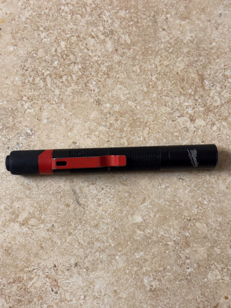 Appreciation for this little feller