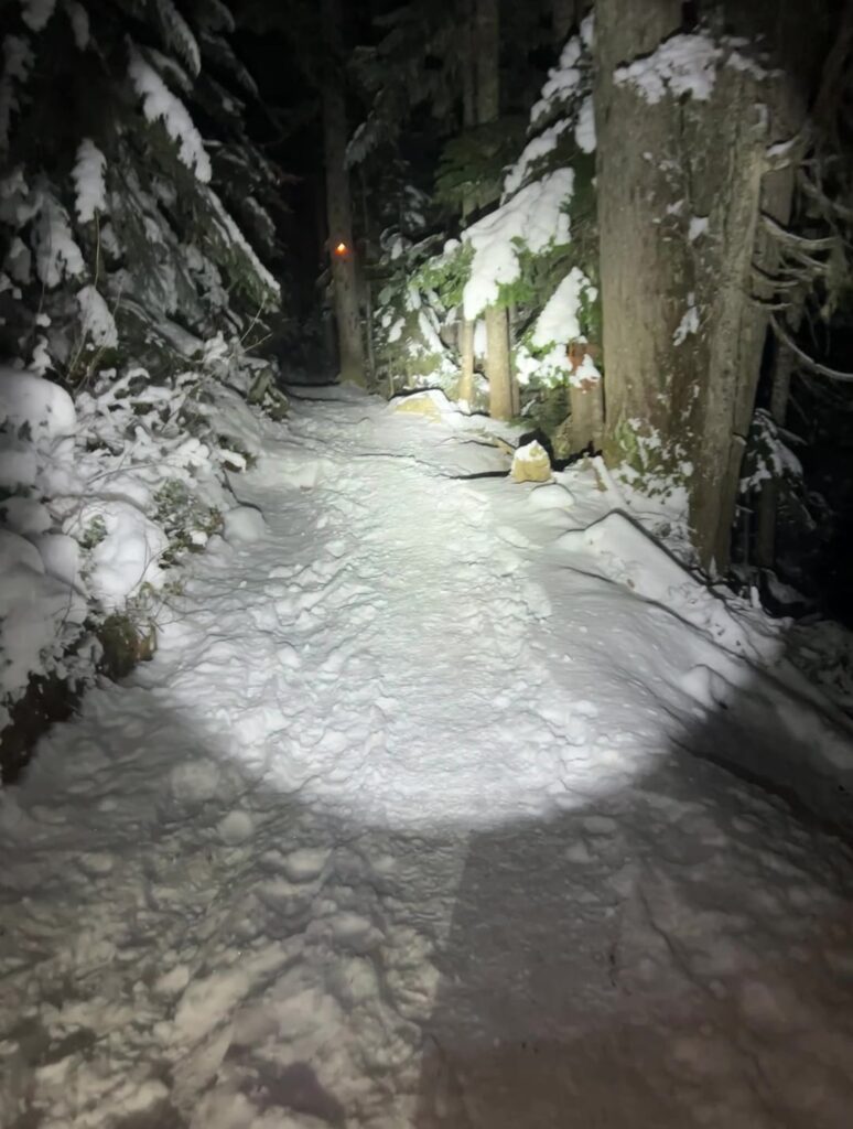 another day with the ultrafire t6