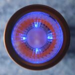 New Light Day: Noctigon KR1AA