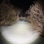 Convoy M21F XHP70.3 HI R9050