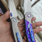 A Mantis and a Tiger