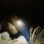 A bit of convoy z1's beans