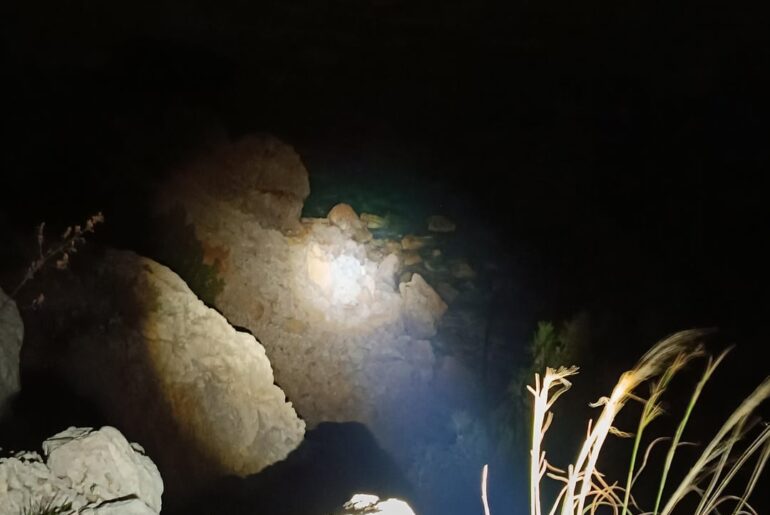 A bit of convoy z1's beans