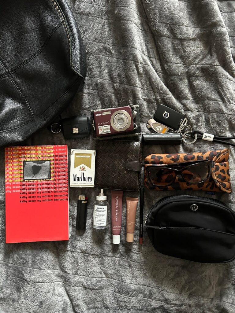 my everyday bag/carry, assumptions welcome!