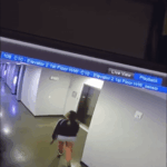 Man saves dog from being hung at a closed elevator door