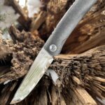 One smooth front flipper