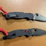 A couple of new daily carries