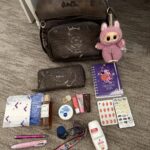 My everyday backpack🌸 What do you think of me?