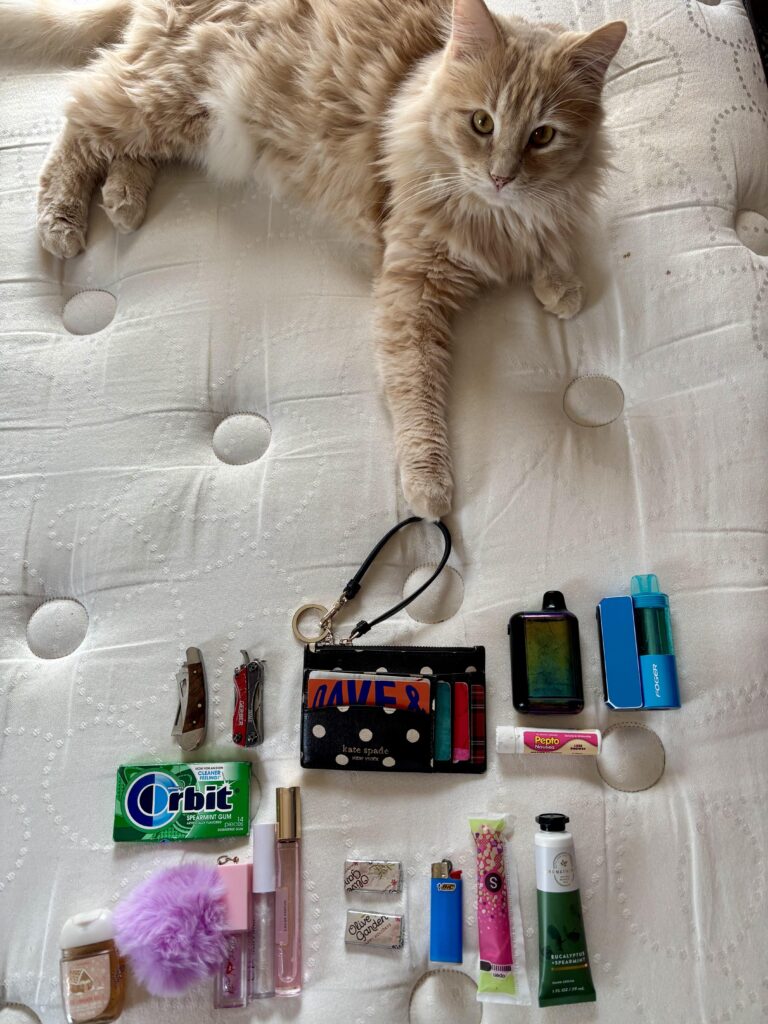 My EDC, simple yet practical