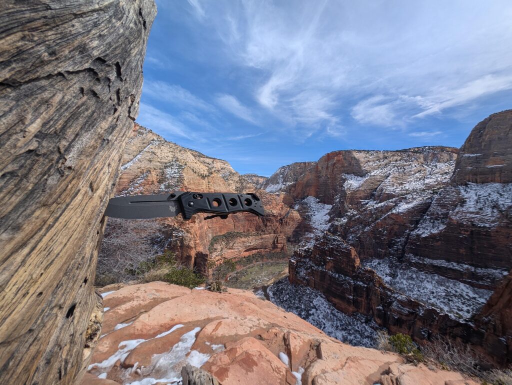 Somewhere in the wild.