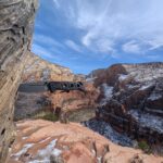 Somewhere in the wild.