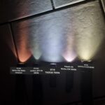 Just for reference. (The Cree doesn't look green in person)