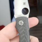 Feels like a Kapara kind of day.....