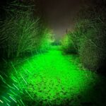 Osram W2 green D4SV2