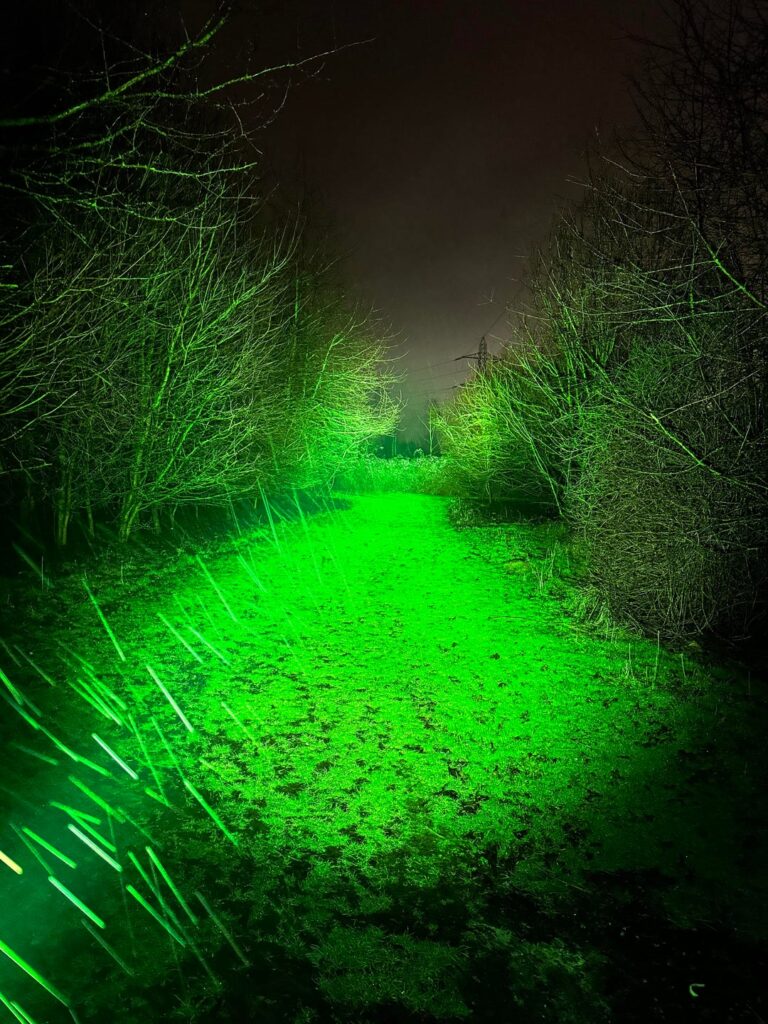 Osram W2 green D4SV2