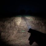 Reylight lanapple 519a 4000k beam shots