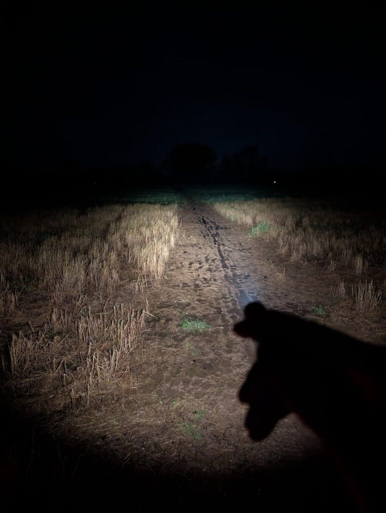Reylight lanapple 519a 4000k beam shots