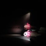 Which 219 could it be?