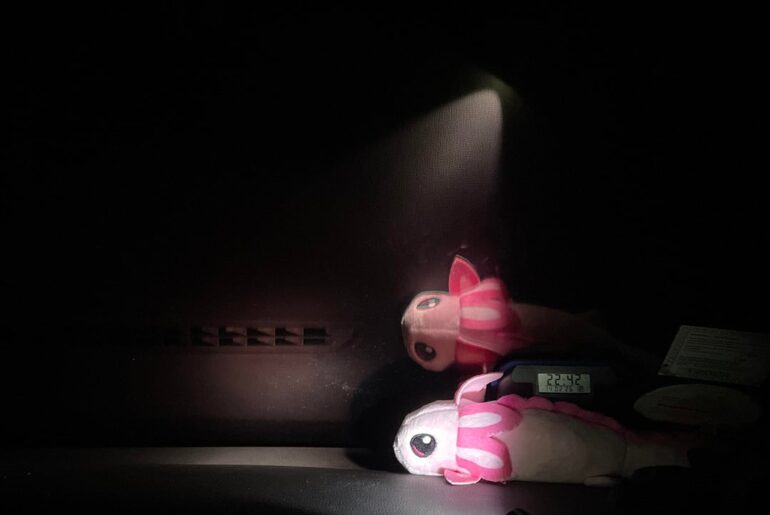 Which 219 could it be?