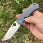 one of the goats, the slysz bowie