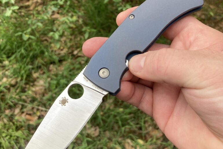 one of the goats, the slysz bowie