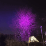 T6 Pink LED with 3A driver fun!