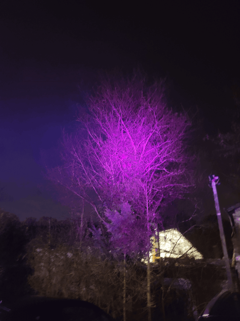 T6 Pink LED with 3A driver fun!