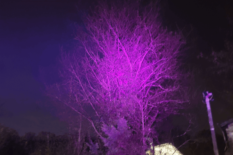 T6 Pink LED with 3A driver fun!