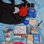 I carry this bag with me everywhere. What does it say about me?