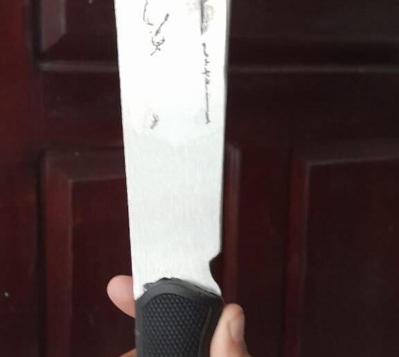 What is this knife shape good for? (Advantages/disadvantages)