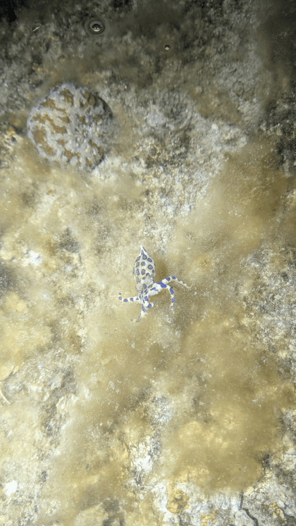 Sofirn SC33 saved my life?