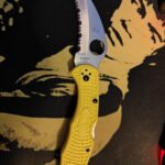 Spyderco Tasman Salt 2
