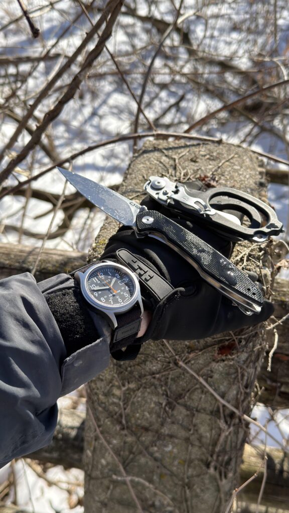 Frozen And Fresh edc