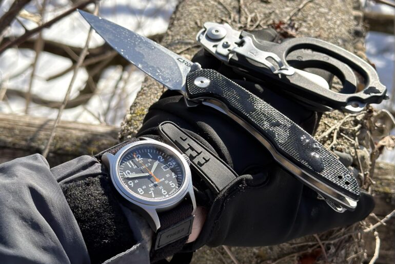 Frozen And Fresh edc