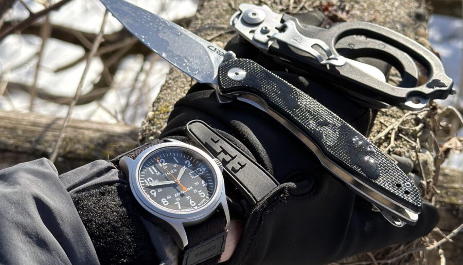 Frozen And Fresh edc