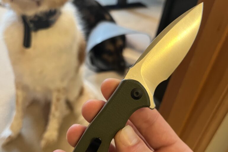 Frankenstein Mini Paraxis