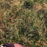 Posting this one later 👀if anyone is looking