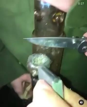 how did you use your knife today?