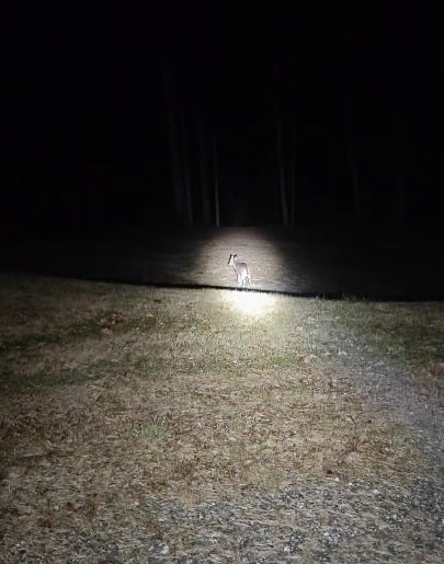 Acebeam E10 doing its job.