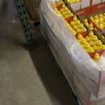 Gotta Practice and Choose the Proper Flashlight if You Wanna cut the Mustard!