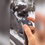 Shirogorov F3 FB knife