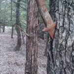 Found this while camping