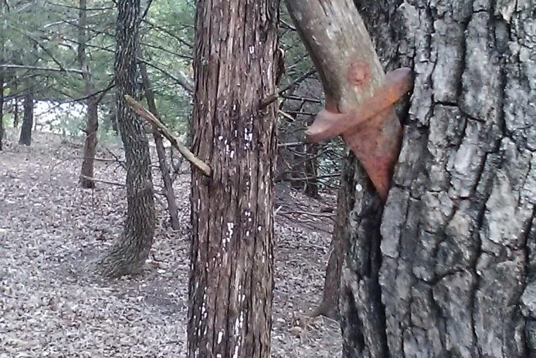 Found this while camping