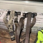 Zebra lights still kicking