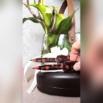 Microtech 1702M-1VNS Hera II Mini