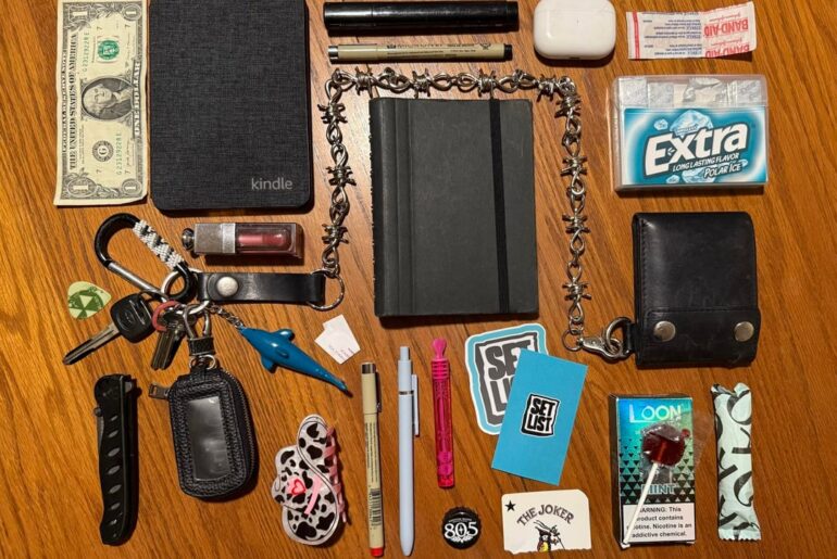 My daily carry is only 6inX6inX3in