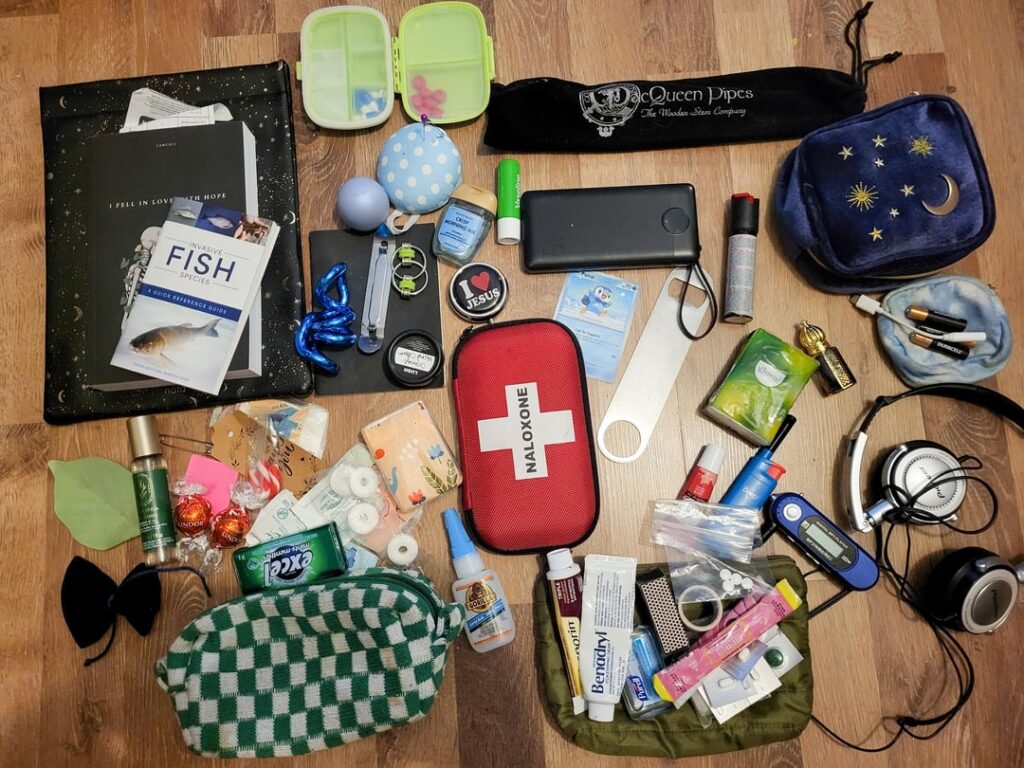 Work bag / everyday commute