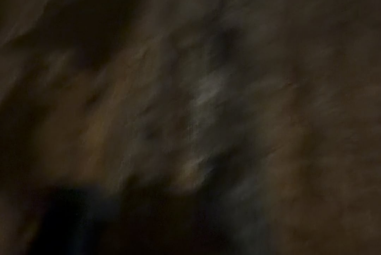 Surefire UDR Dominator