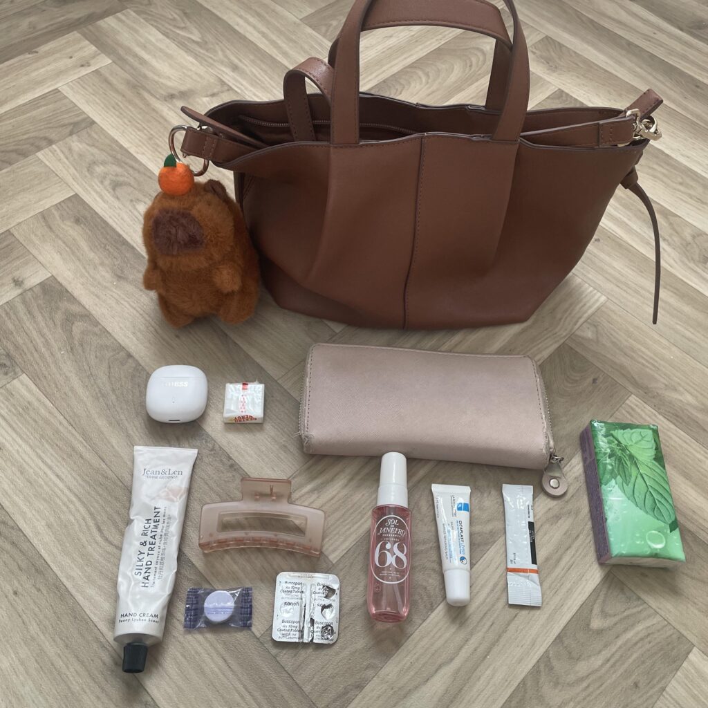 my everyday handbag