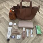 my everyday handbag